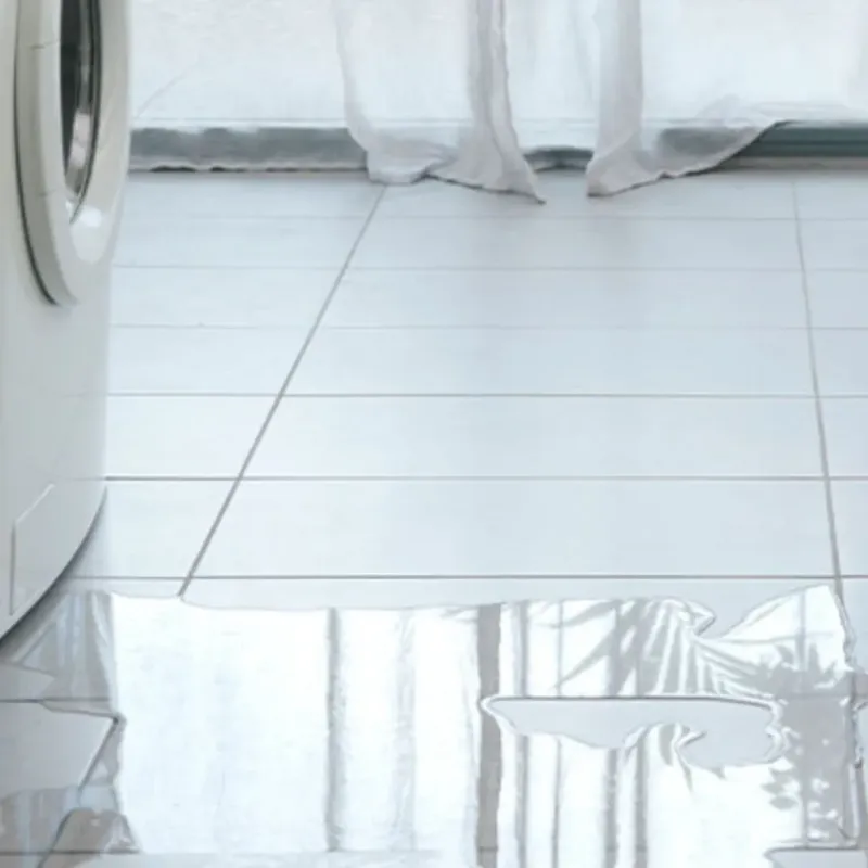 Appliance Leak Cleanup in Gandy, FL