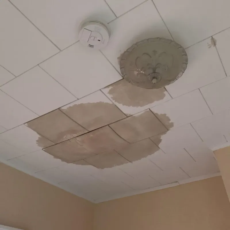 Ceiling Water Damage Repair in Gandy, FL