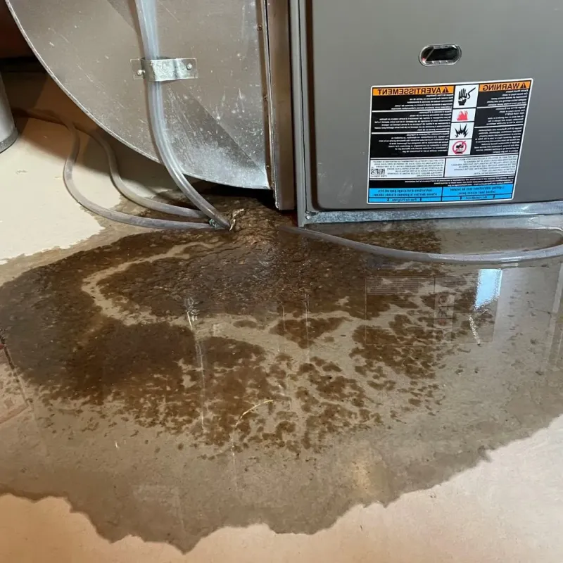 Pipe Burst and Leak Restoration in Gandy, FL