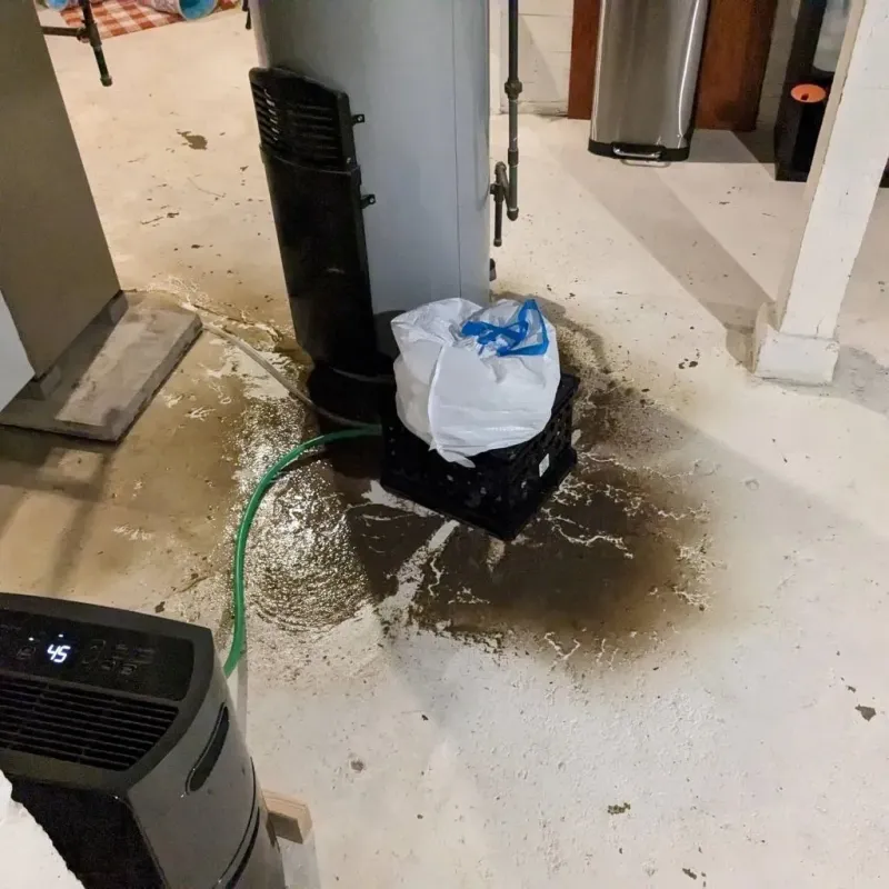 Sewage Backup Cleanup Service in Gandy, FL